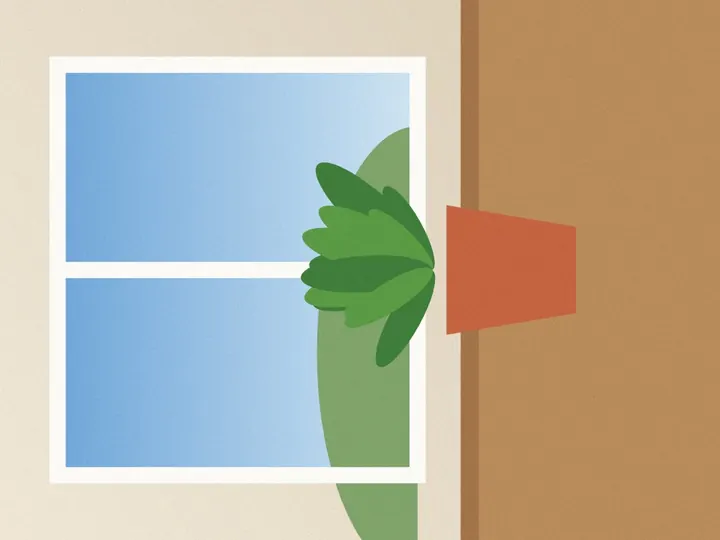 A drawing of a potted plant in front of a window, lying on its side.